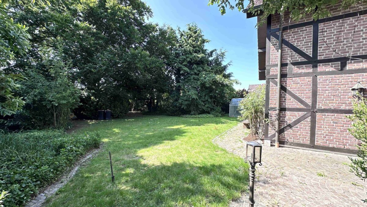 Blick in den Garten