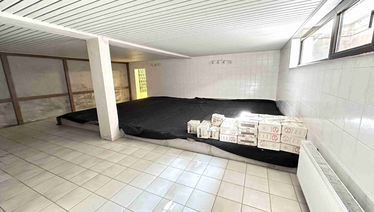 Kellerraum mit Schwimmbecken